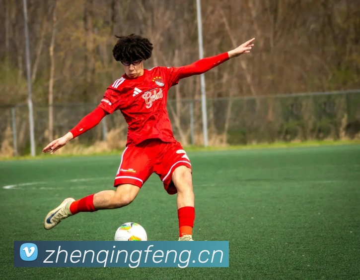 hth官网APP 高清赛事图